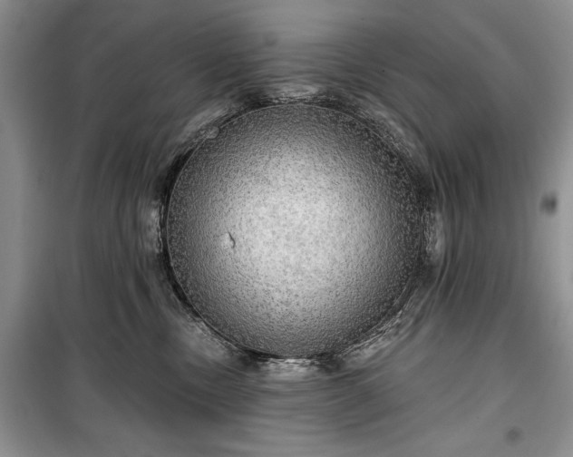 X0000100370378200806131043