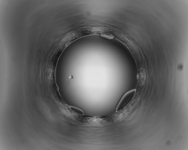 X0000100370379200806131043