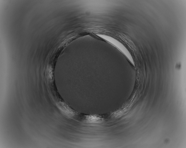 X0000100370380200806131043