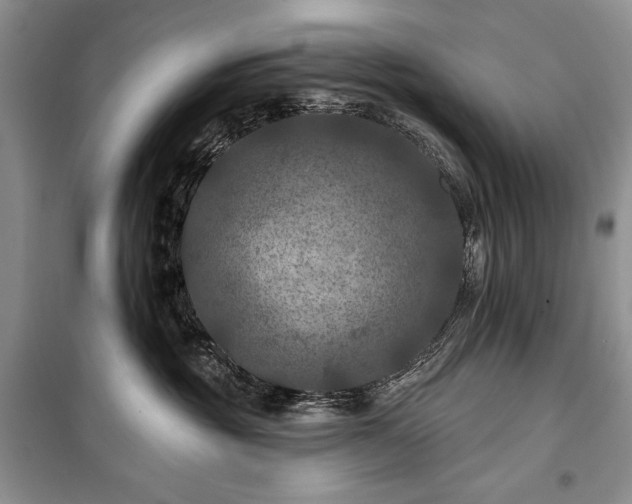 X0000100370381200806131043