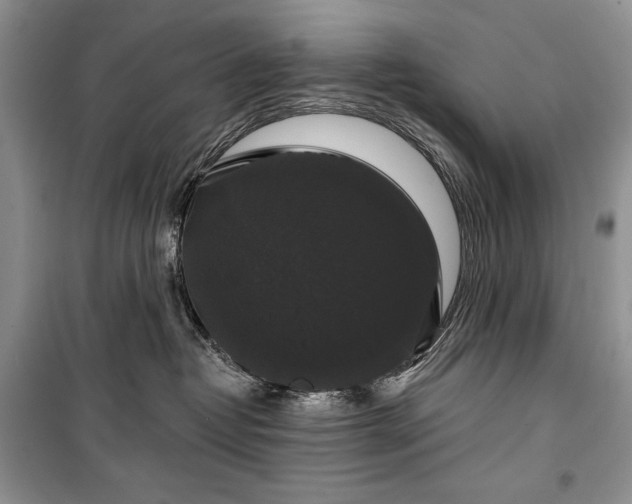 X0000100370382200806131043