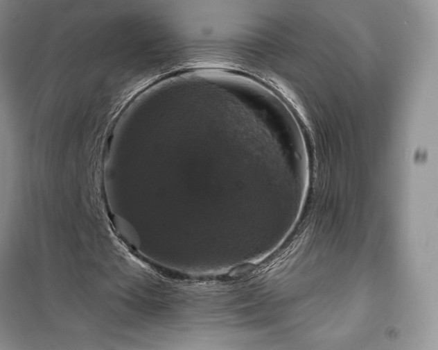 X0000100370385200806131042