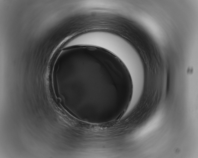 X0000100370387200806131042