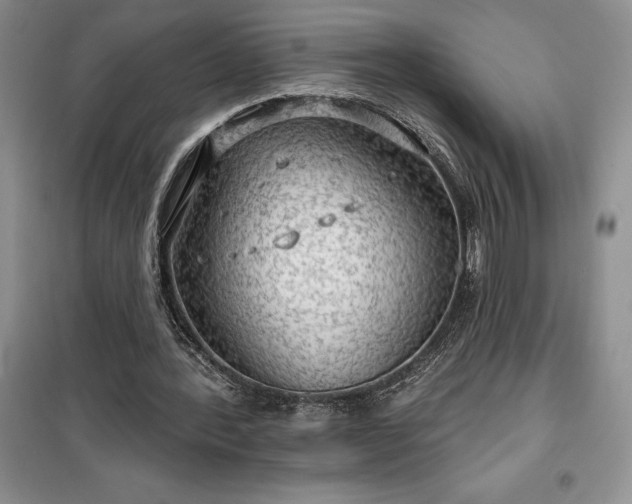 X0000100370388200806131042