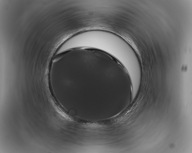 X0000100370389200806131042