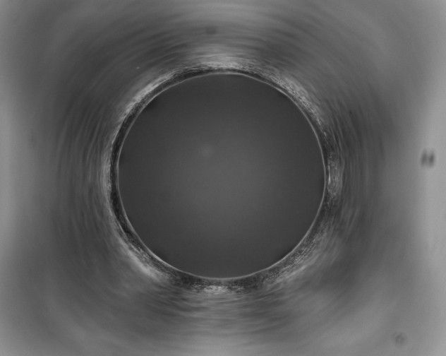 X0000100370390200806131042