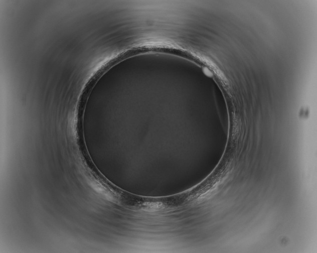 X0000100370391200806131042