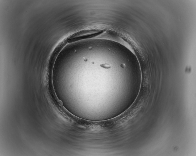 X0000100370392200806131042