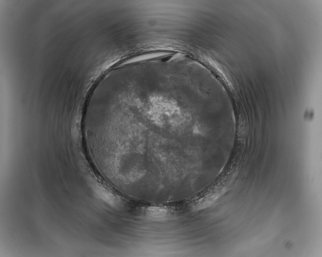 X0000100370394200806131042