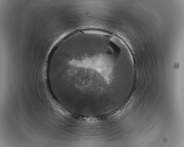 X0000100370395200806131042