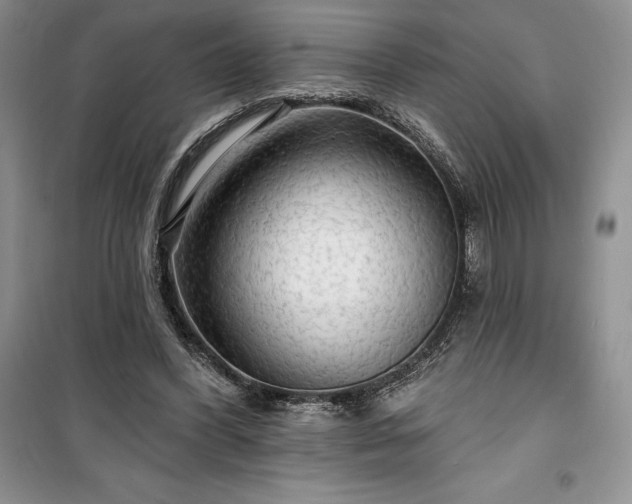 X0000100370396200806131042