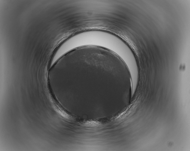 X0000100370397200806131042