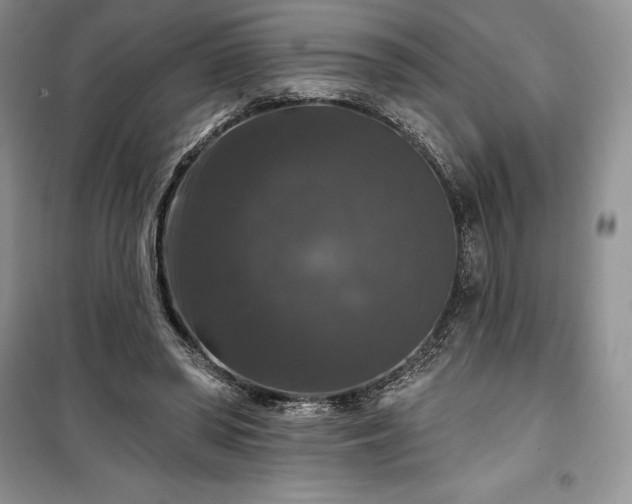 X0000100370398200806131042