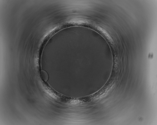 X0000100370399200806131042