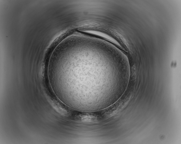 X0000100370400200806131042