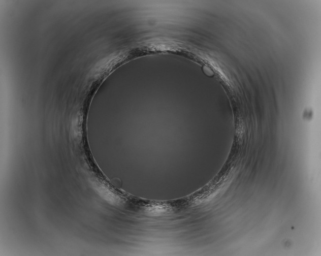 X0000100370402200806131042