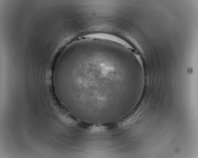 X0000100370403200806131042