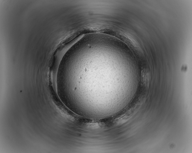 X0000100370404200806131042