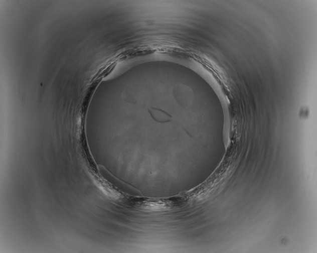 X0000100370405200806131042