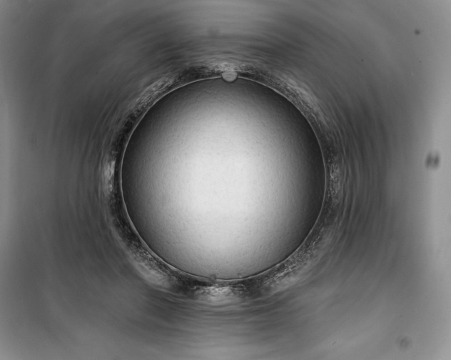 X0000100370406200806131042