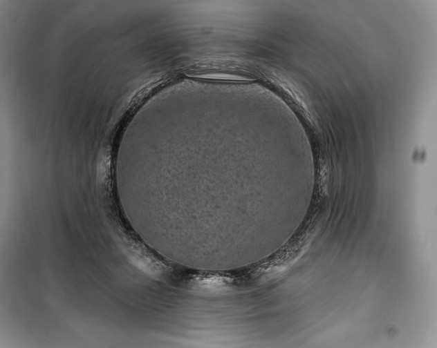 X0000100370407200806131042