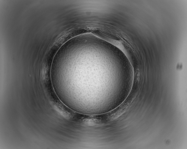 X0000100370408200806131042