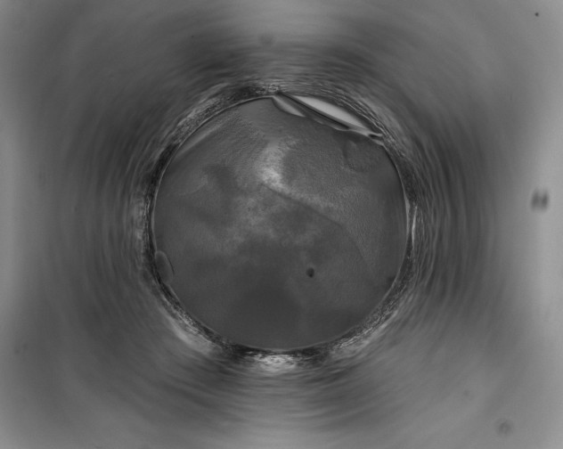 X0000100370409200806131042