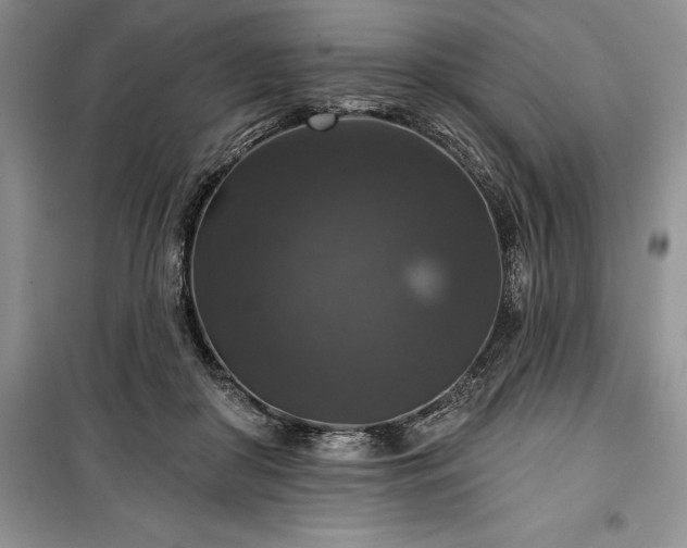 X0000100370410200806131042