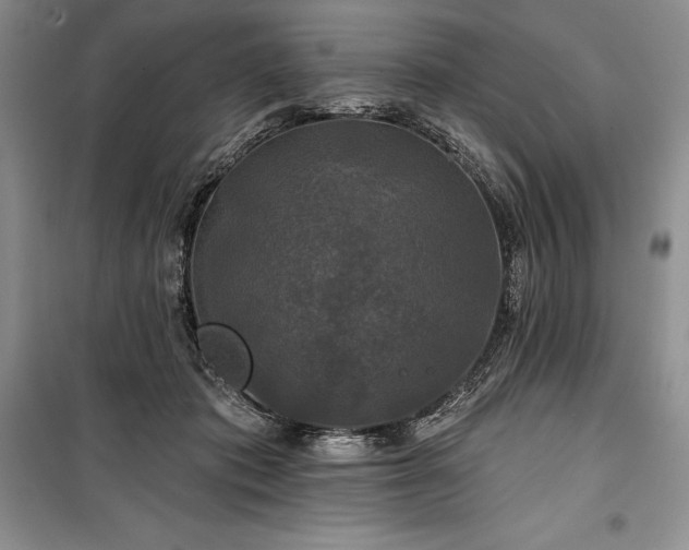 X0000100370413200806131042