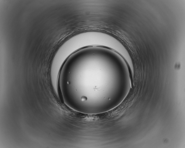 X0000100370415200806131042