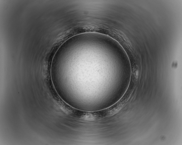 X0000100370416200806131042