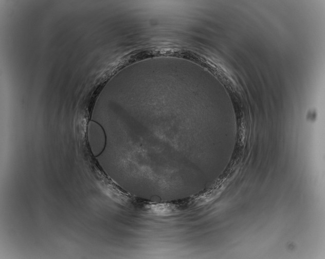 X0000100370417200806131042