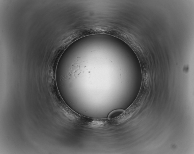 X0000100370418200806131042