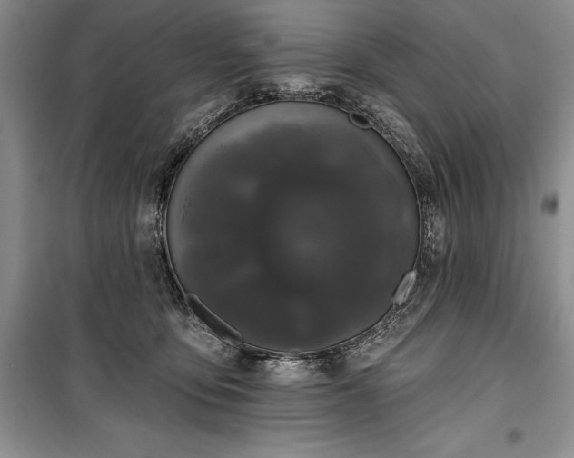 X0000100370419200806131042