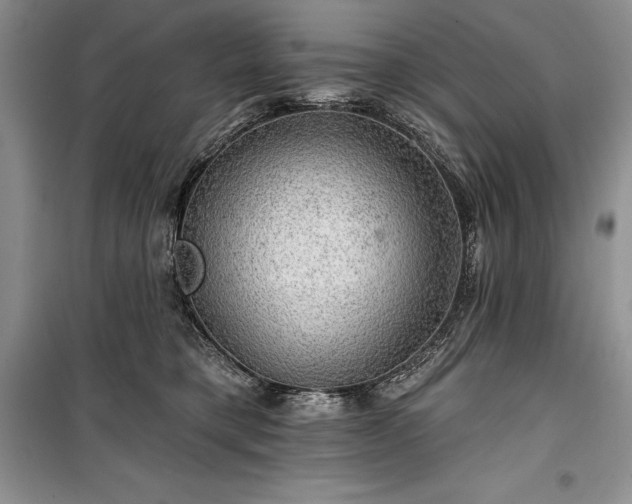 X0000100370421200806131042