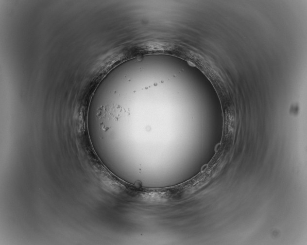 X0000100370422200806131042