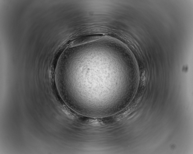 X0000100370424200806131042