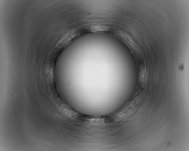 X0000100370426200806131042