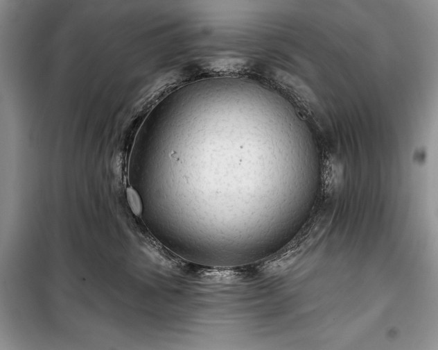 X0000100370428200806131042