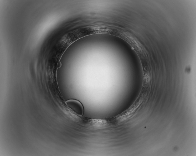 X0000100370429200806131042