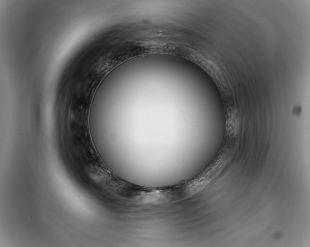 X0000100370430200806131042