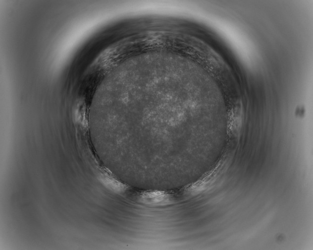 X0000100370431200806131042