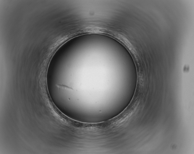 X0000100370433200806131041