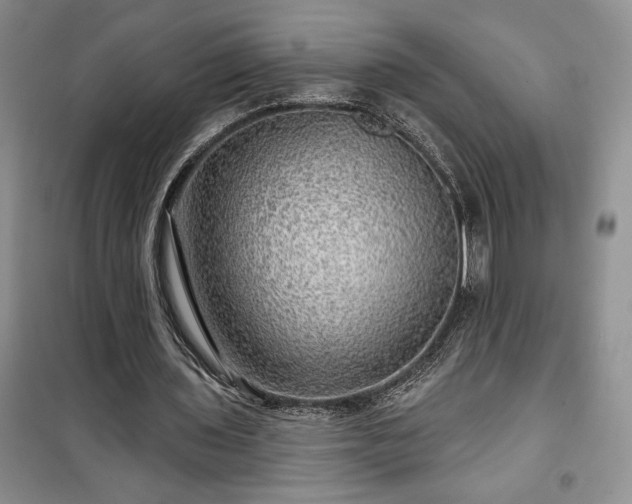 X0000100370435200806131041