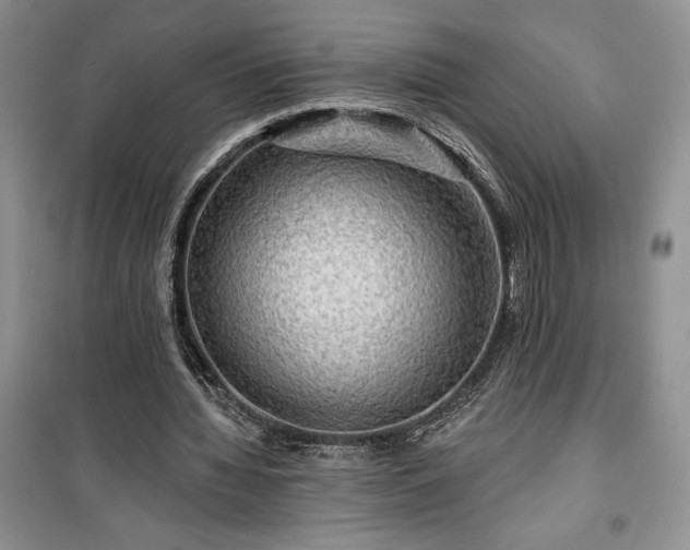 X0000100370436200806131041