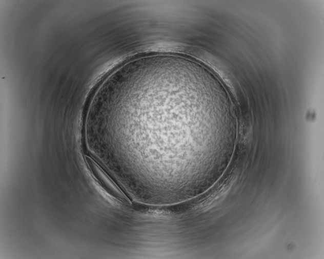 X0000100370437200806131041