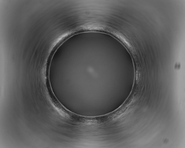 X0000100370438200806131041