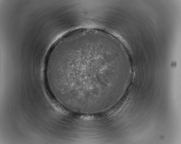 X0000100370440200806131041