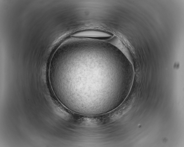 X0000100370442200806131041