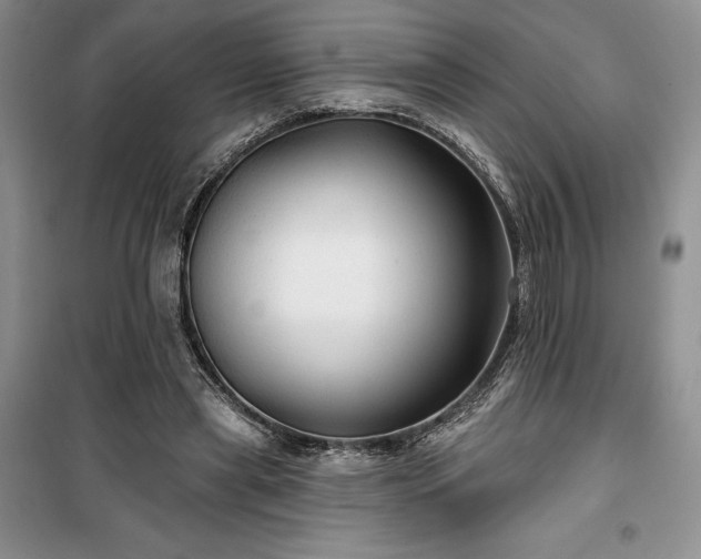 X0000100370445200806131041